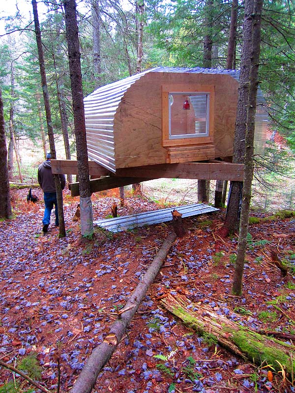 tiny house in the woods