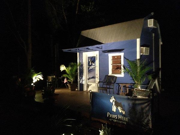 dog grooming business at night