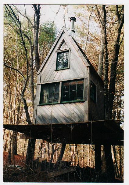 the tree cabin