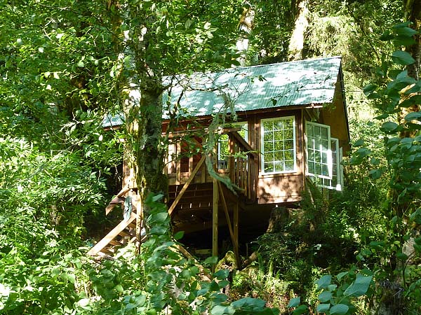 Travis's cabin