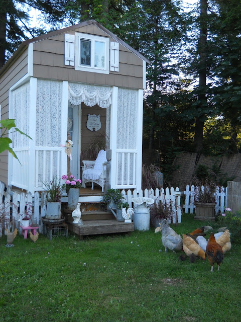 chickens and porch
