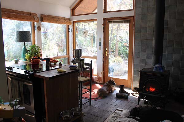 Day House_Woodstove