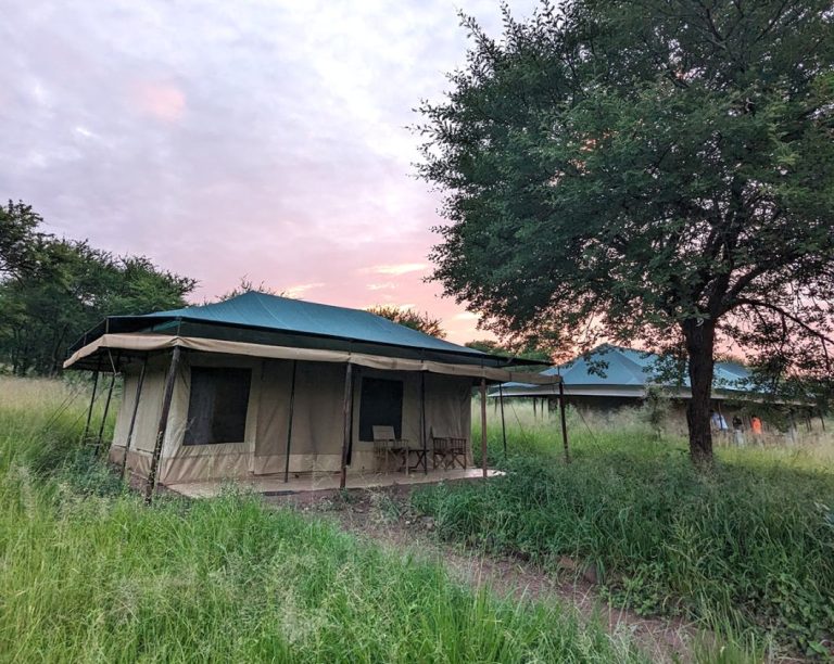 Tukaone Tented Camp in the Serengeti